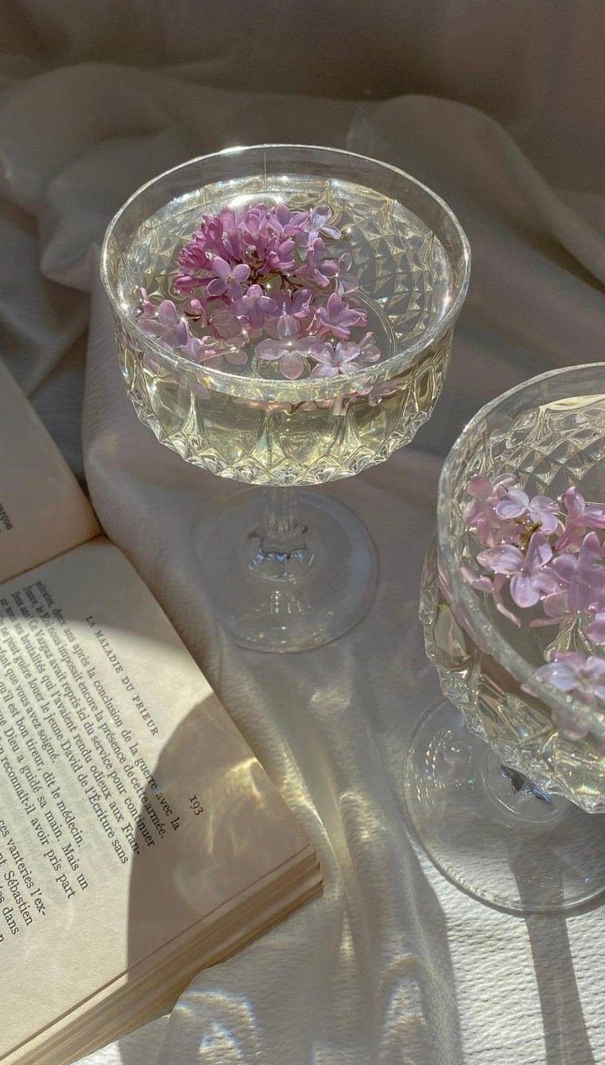 Uống nước ấm để máu được lưu thông tốt hơn