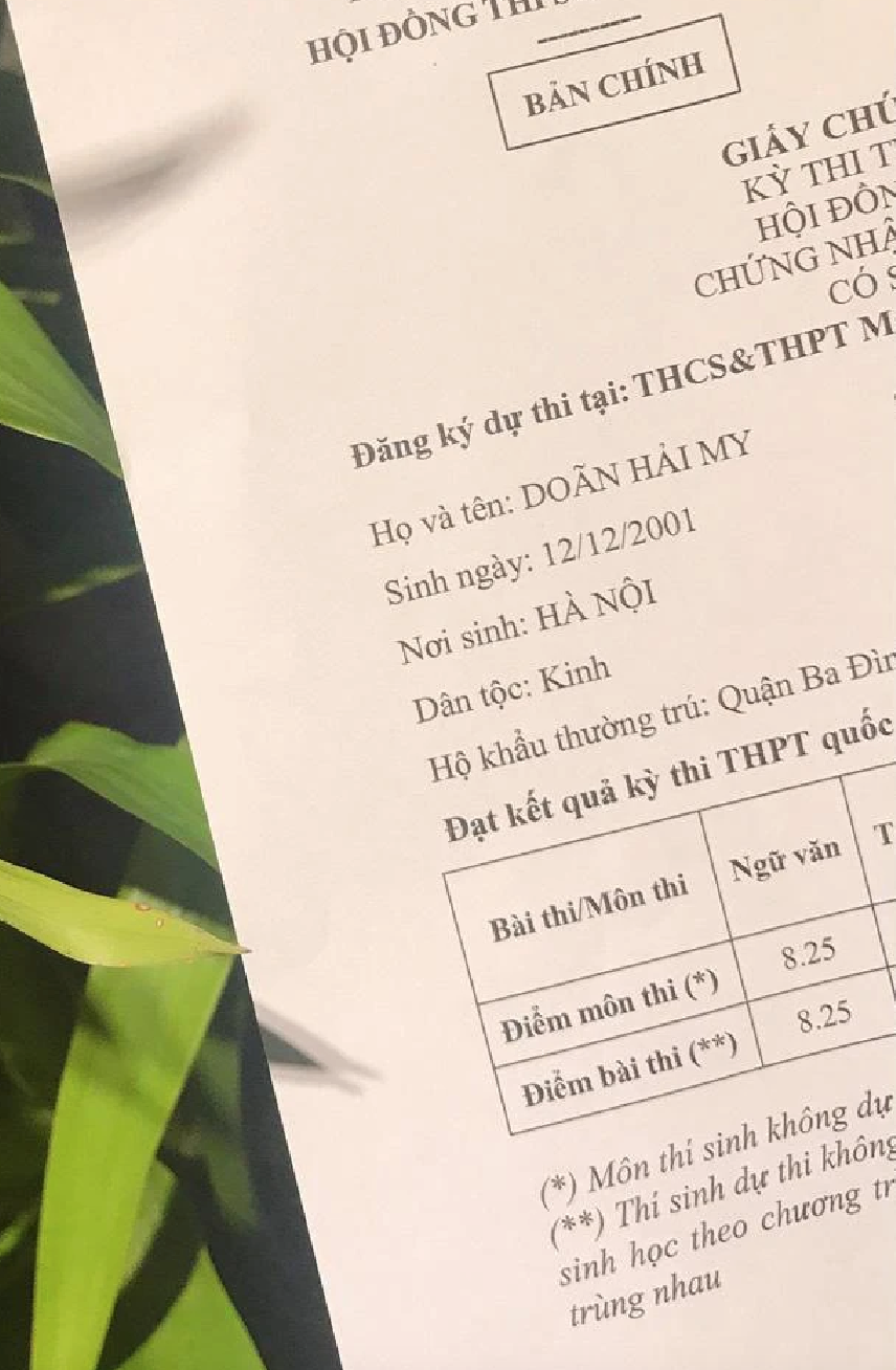Trong kỳ thi tốt nghiệp THPT 2019, Doãn Hải My đạt 8,25 điểm môn Văn