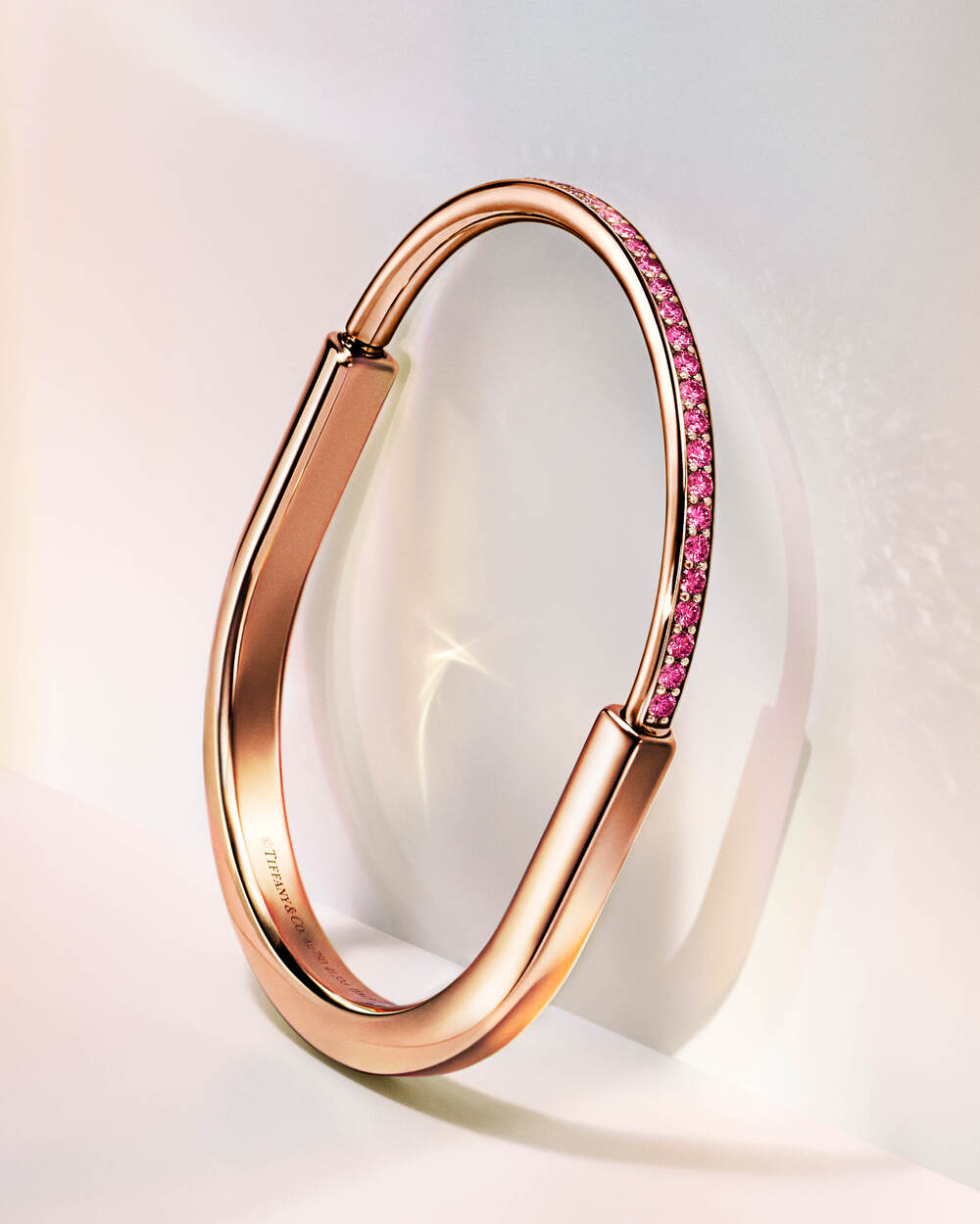 Ảnh: Tiffany & Co.