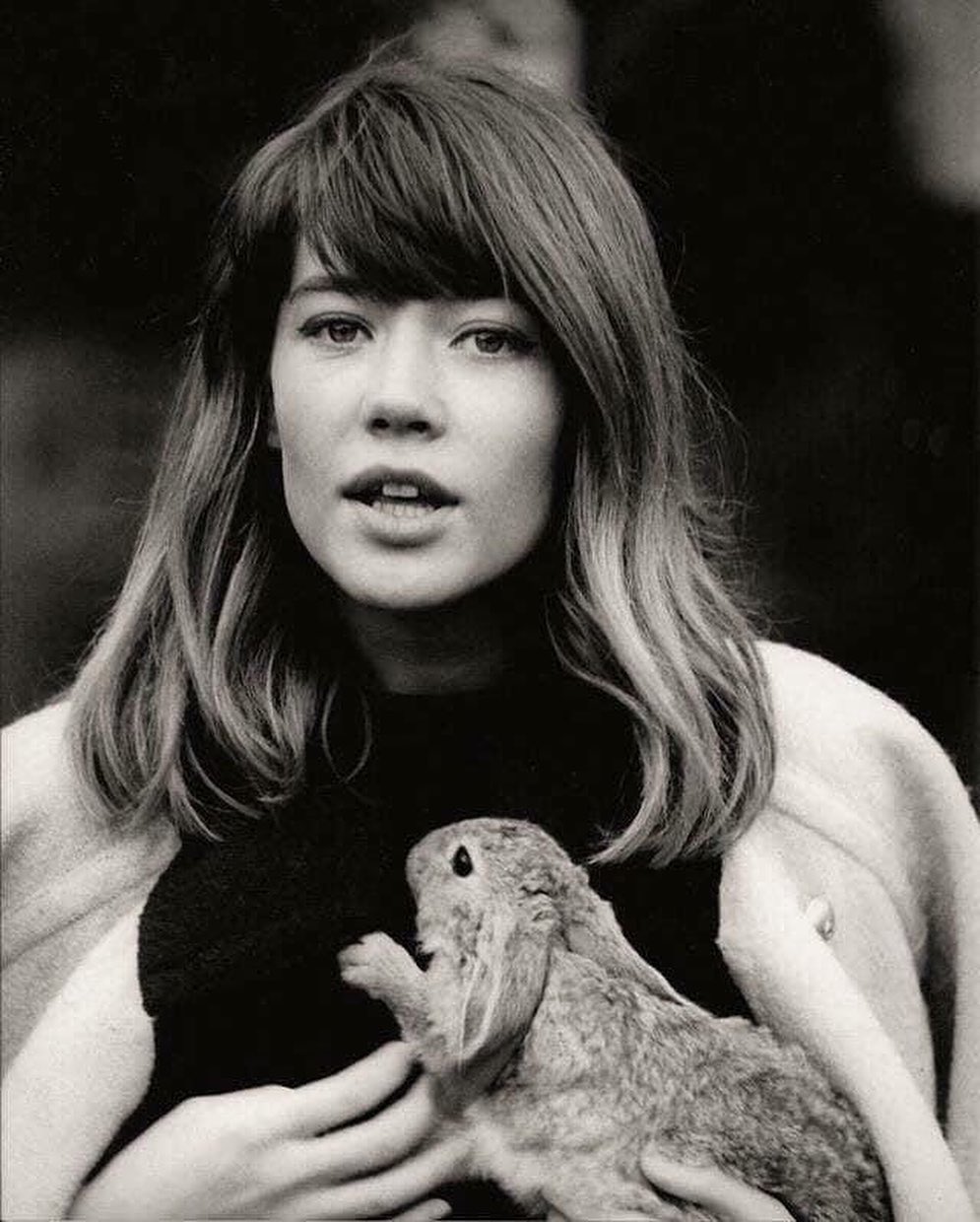 Françoise Hardy phóng khoáng cùng kiểu tóc mái lệch đặc trưng. Ảnh: Instagram @isabelfutre.