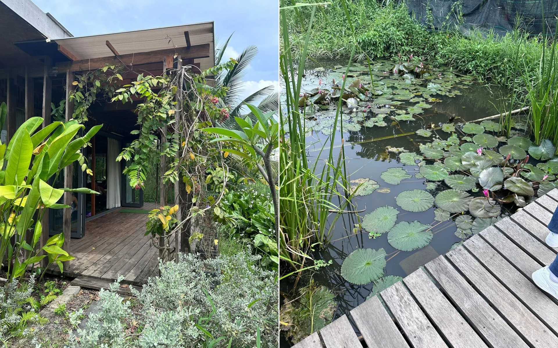 Nữ ca sĩ ghé thăm một khu phức hợp bao gồm quán ăn, quán cà phê và nhiều dịch vụ khác mang hơi hướng Nhật Bản tại Thảo Điền.