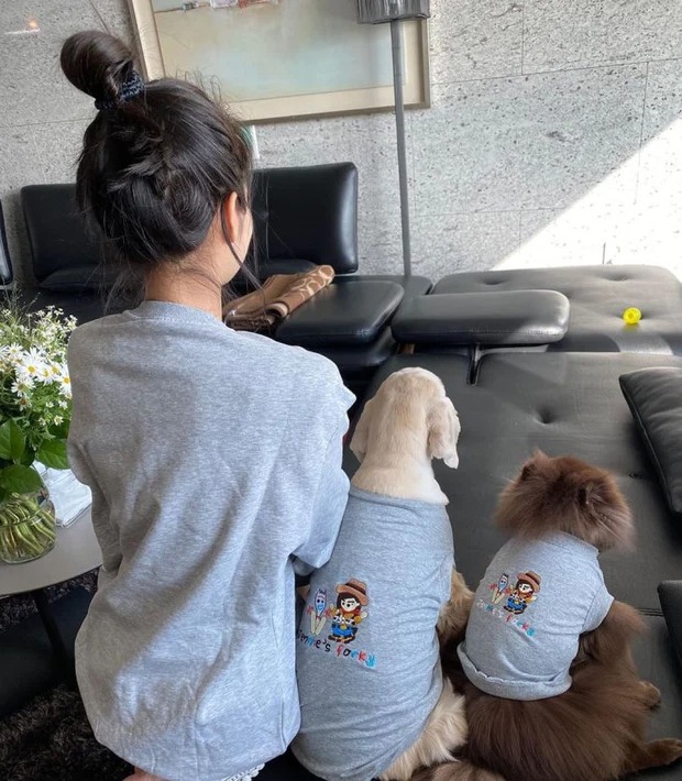 Ghế nhà sao - Ảnh 2