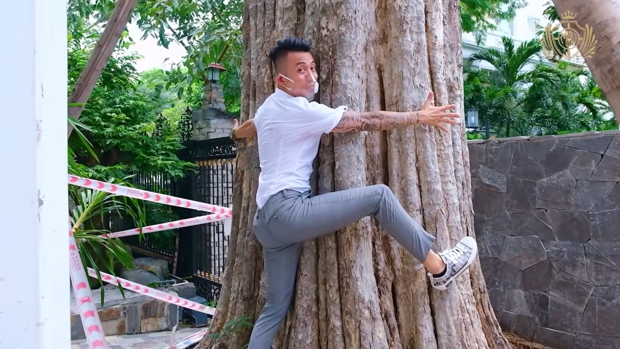 Biệt thự Minh Nhựa - Ảnh 2