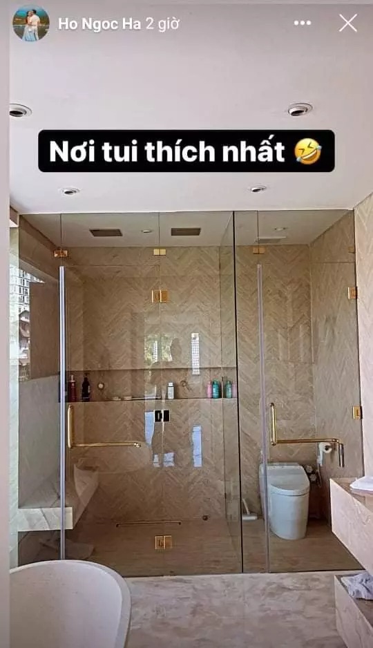 Biệt thự Hồ Ngọc Hà - Ảnh 10