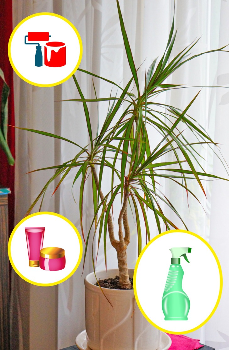 Cây trồng tốt cho sức khoẻ - Ảnh 1