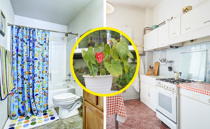 Cây trồng tốt cho sức khoẻ - Ảnh 4