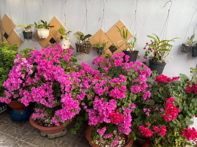 Sân vườn nhà sao - Ảnh 10