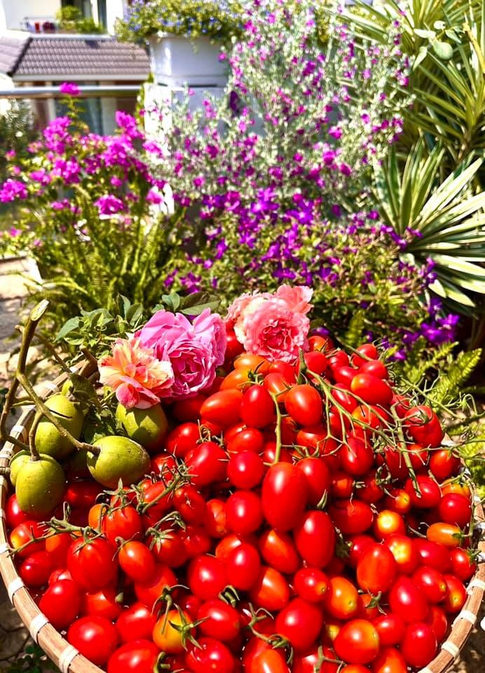 Sân vườn nhà sao - Ảnh 8