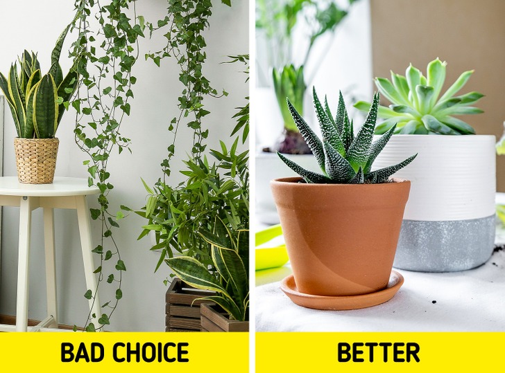 Món đồ gây mất ngủ - Ảnh 3