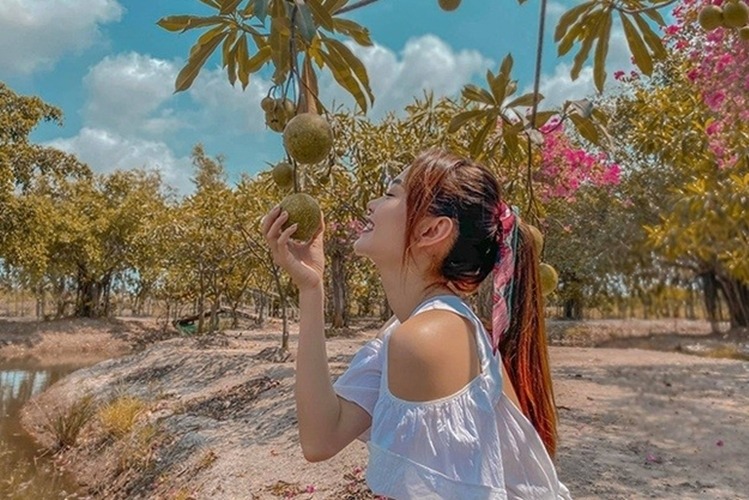 Nhà Minh Hằng - Ảnh 9