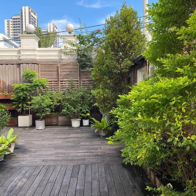 Nhà sao làm dâu hào môn - Ảnh 2