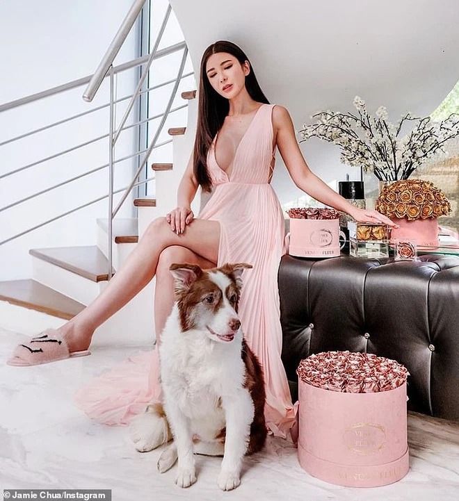 Jamie Chua - Ảnh 3