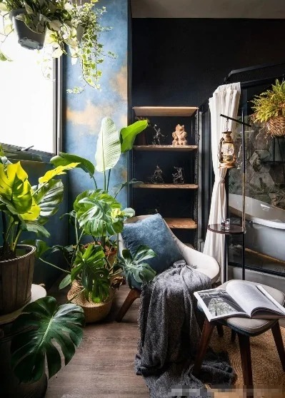 Cải tạo - Ảnh 2