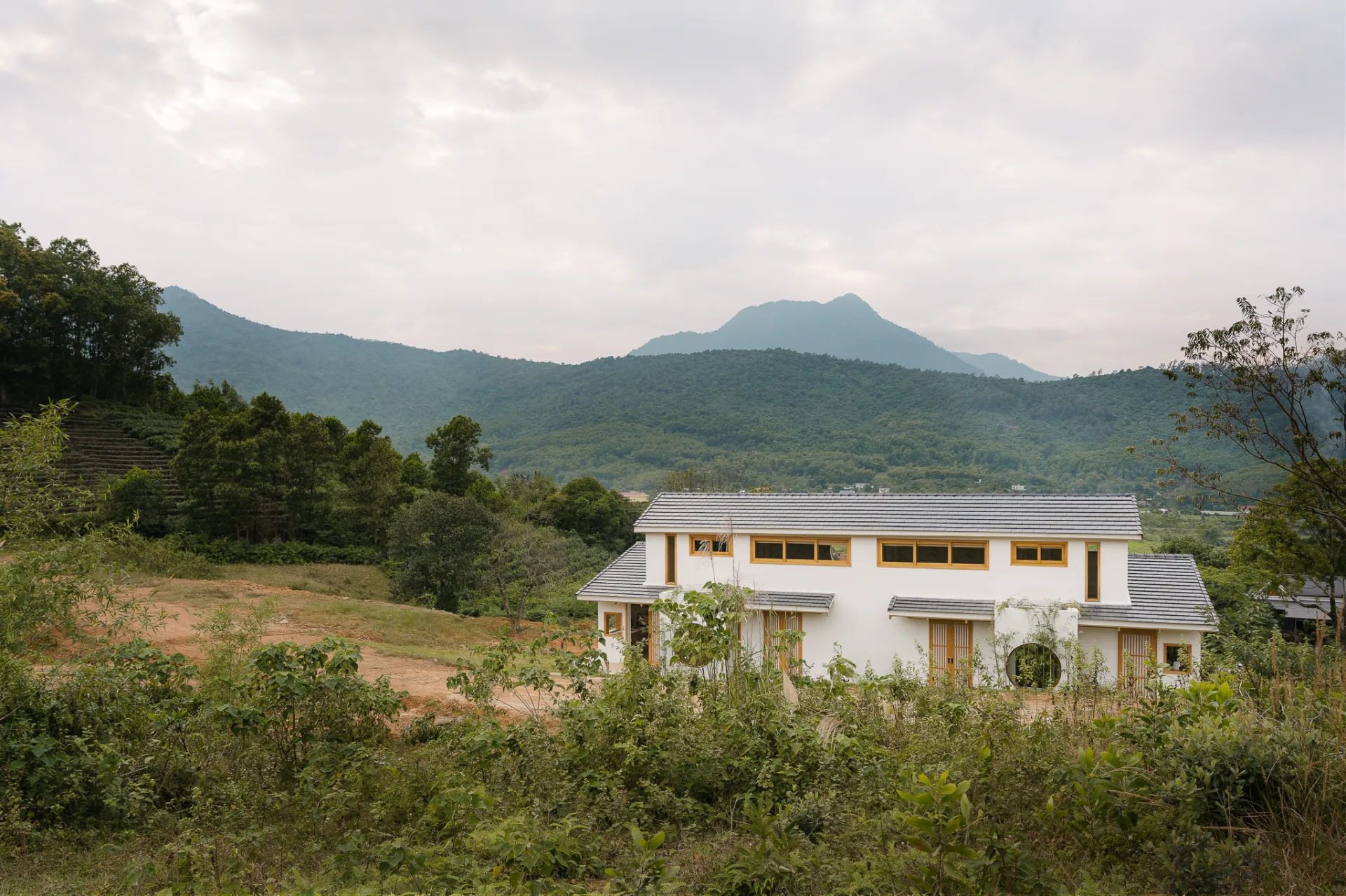 Bài PV Đoàn Mạnh - Ảnh 2