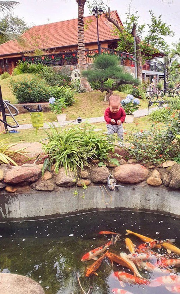 Biệt thự - Ảnh 3