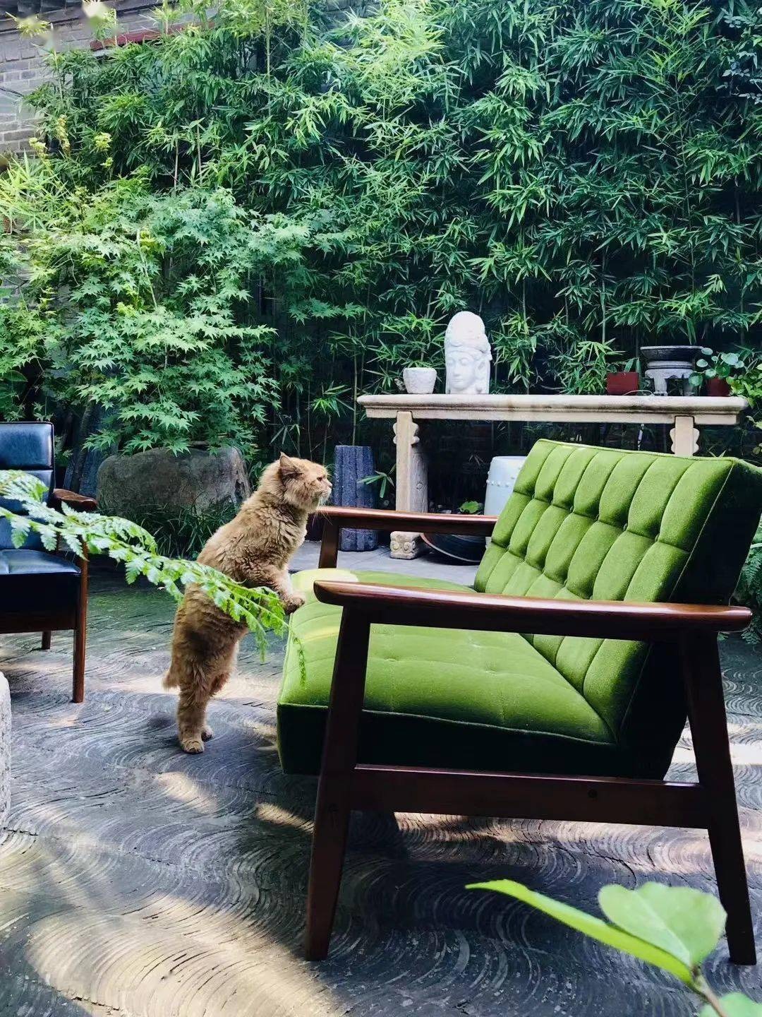 Vườn bách thảo - Ảnh 1