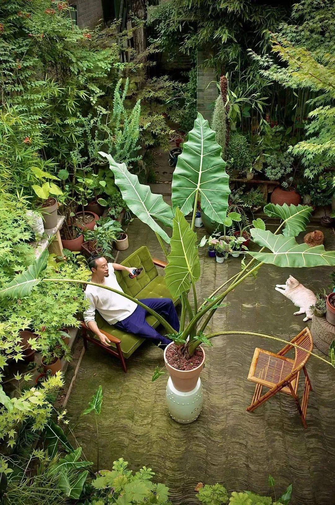 Vườn bách thảo - Ảnh 13