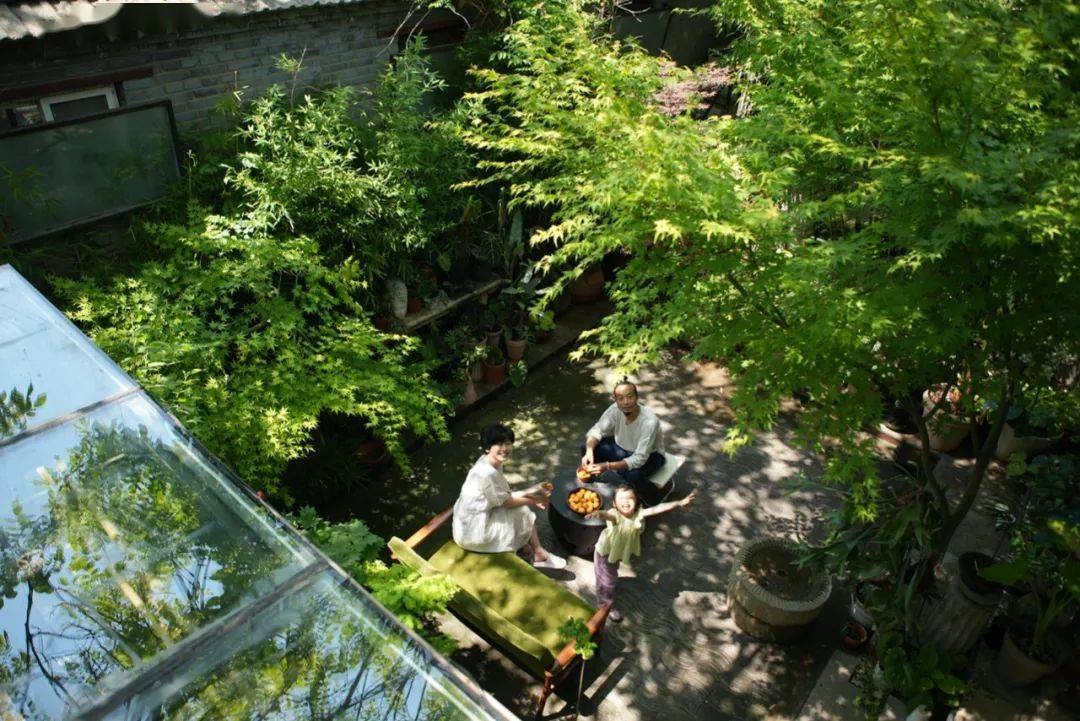 Vườn bách thảo - Ảnh 15