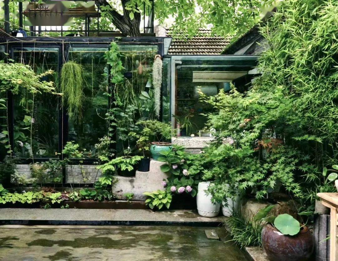 Vườn bách thảo - Ảnh 19