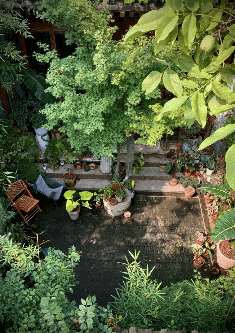 Vườn bách thảo - Ảnh 5