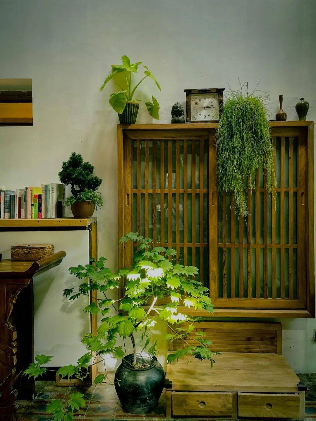 Vườn bách thảo - Ảnh 6