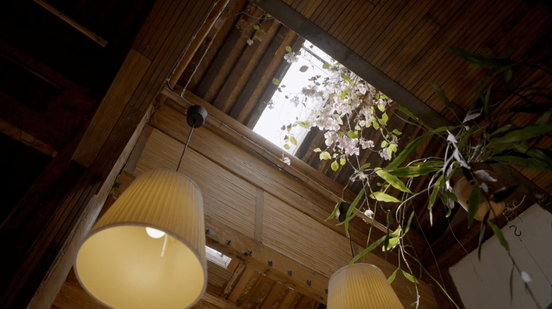 Vườn bách thảo - Ảnh 7