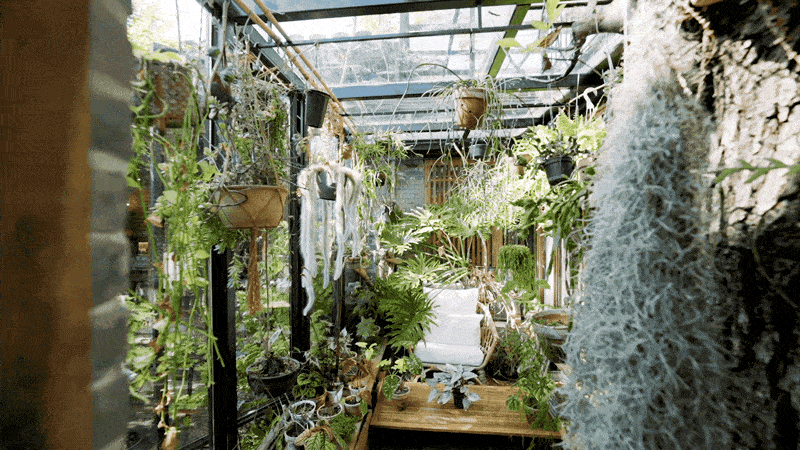 Vườn bách thảo - Ảnh 1