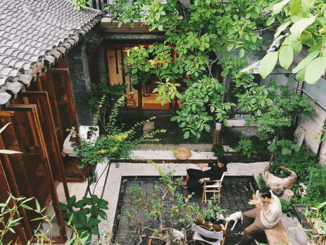 Vườn bách thảo - Ảnh 1