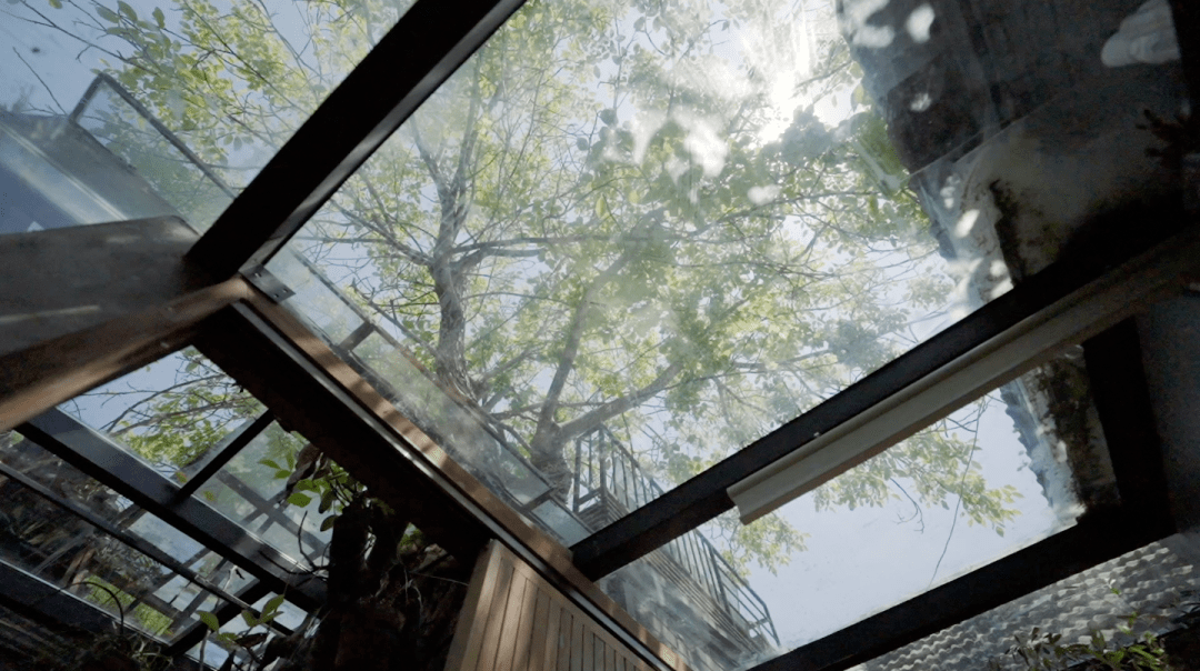 Vườn bách thảo - Ảnh 1