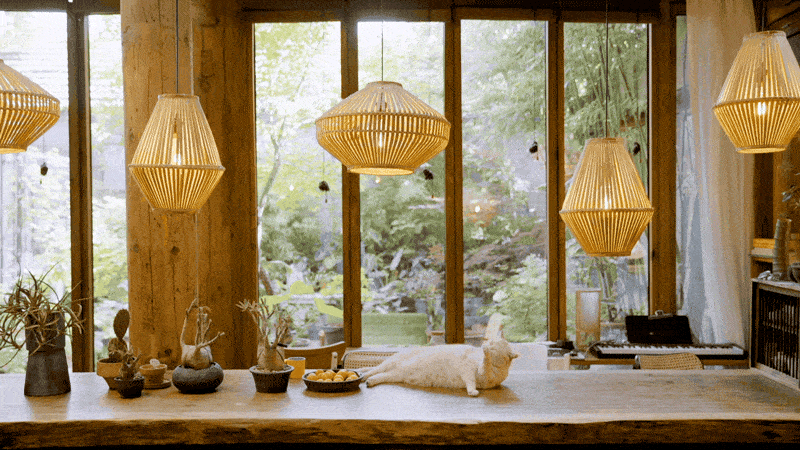 Vườn bách thảo - Ảnh 1