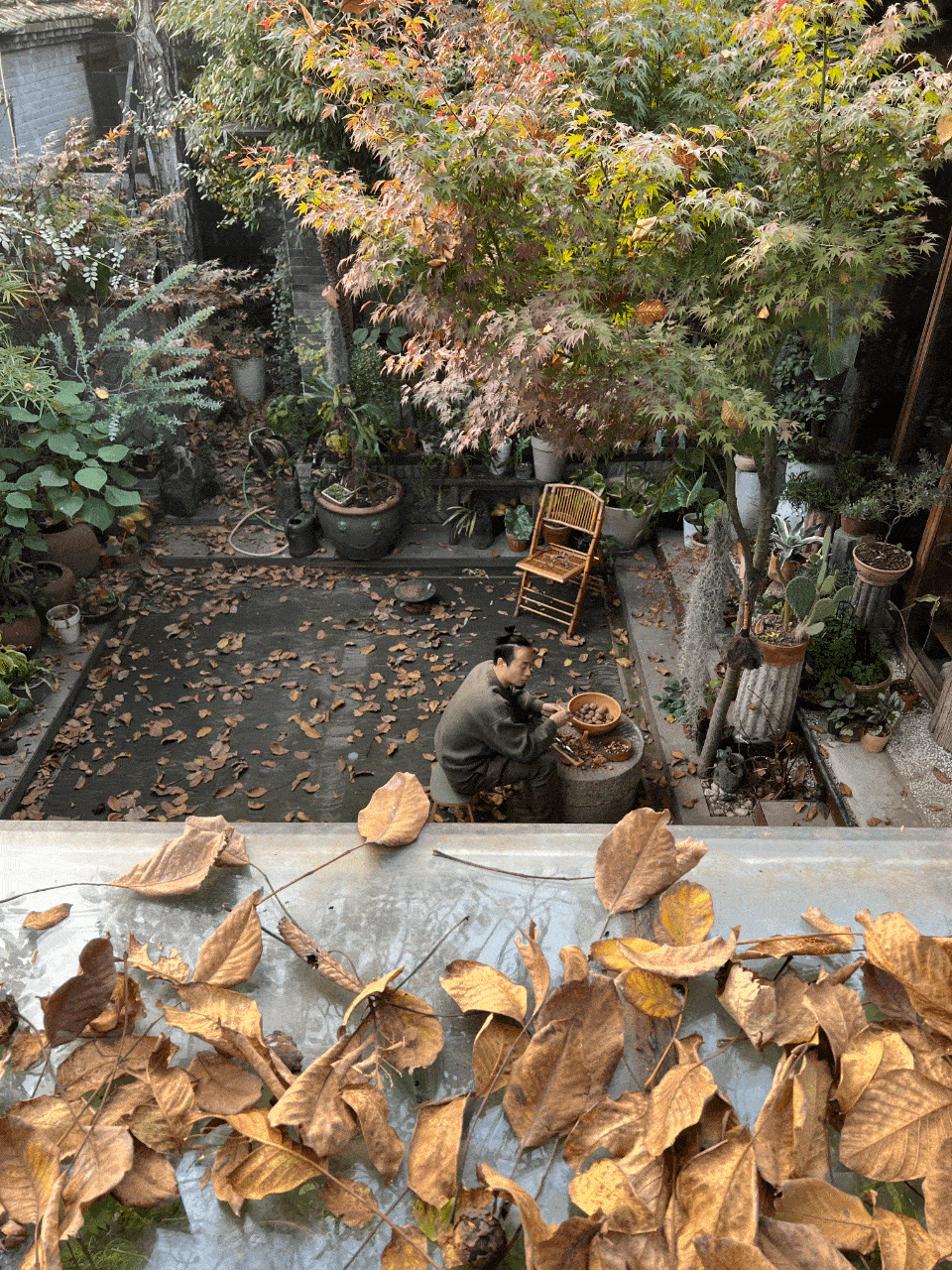 Vườn bách thảo - Ảnh 1