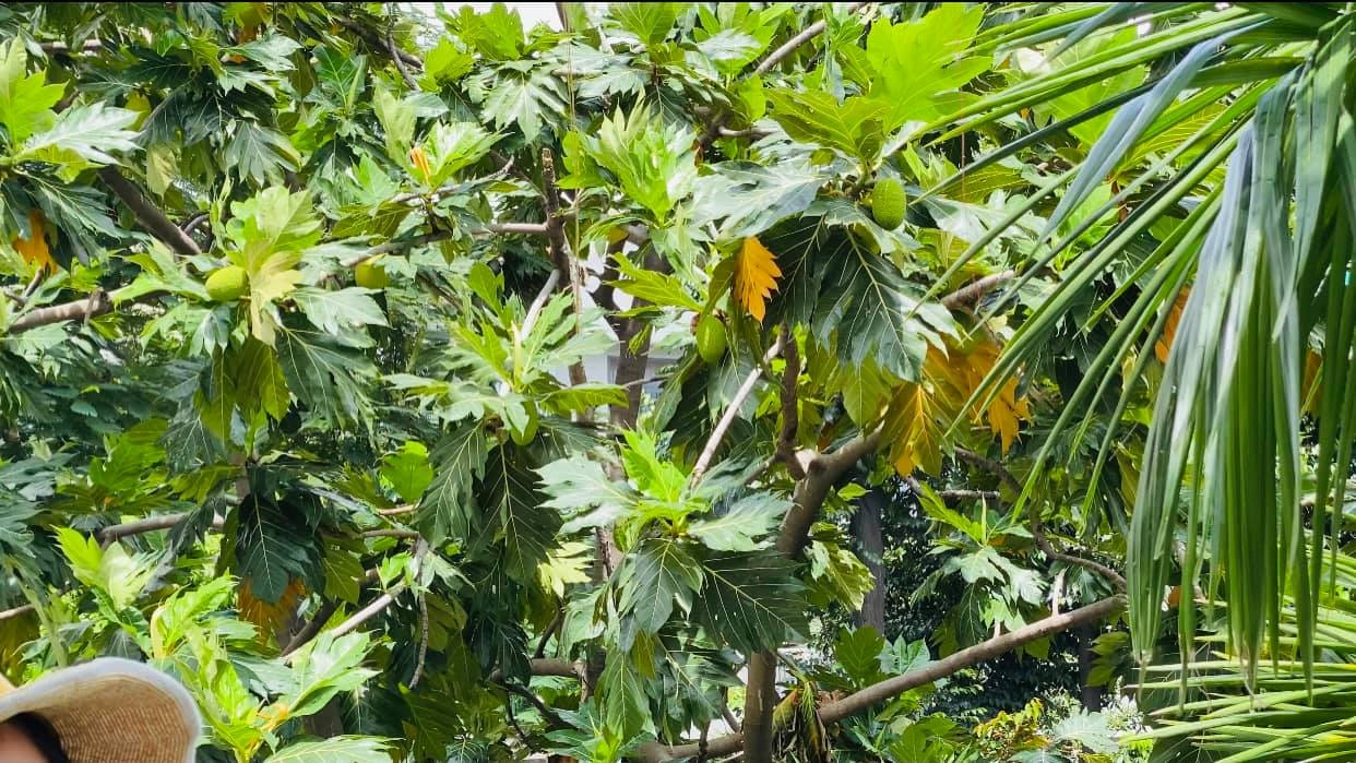 Nhà Vy Oanh - Ảnh 2