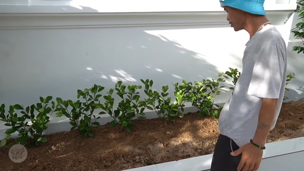 Soy Y Tiết - Ảnh 2