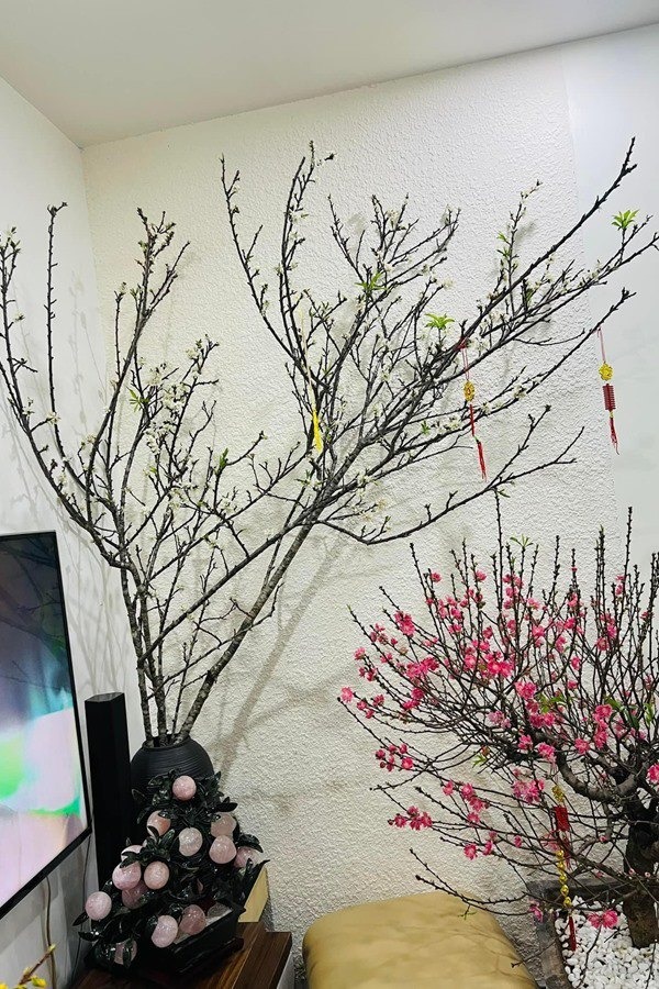 Nhà thuê - Ảnh 3