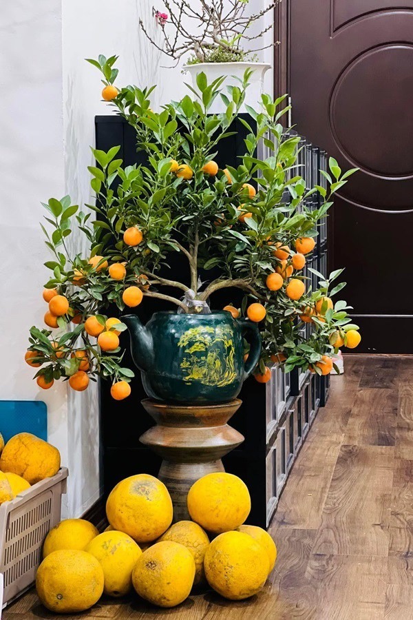 Nhà thuê - Ảnh 4