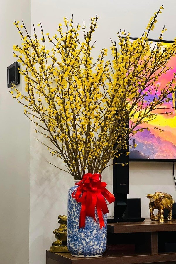 Nhà thuê - Ảnh 5