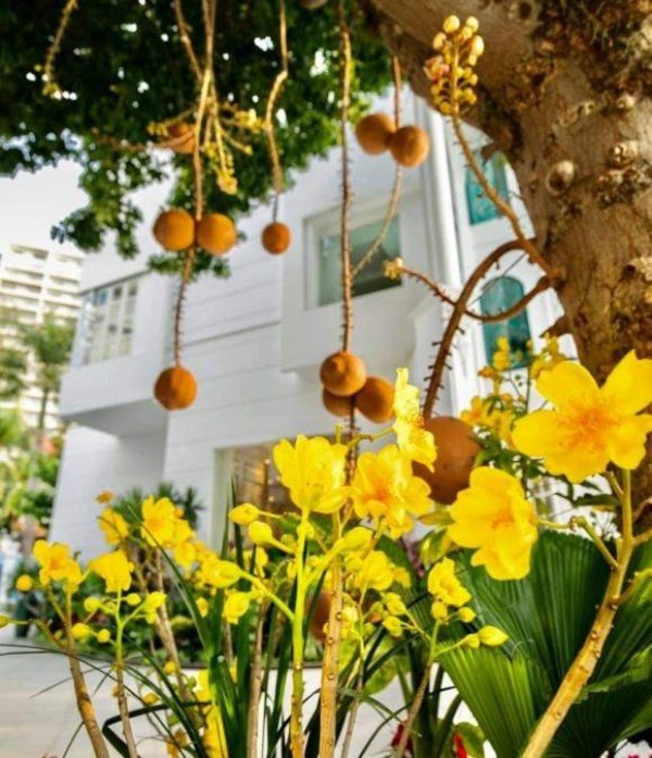 Nhà thuê - Ảnh 6