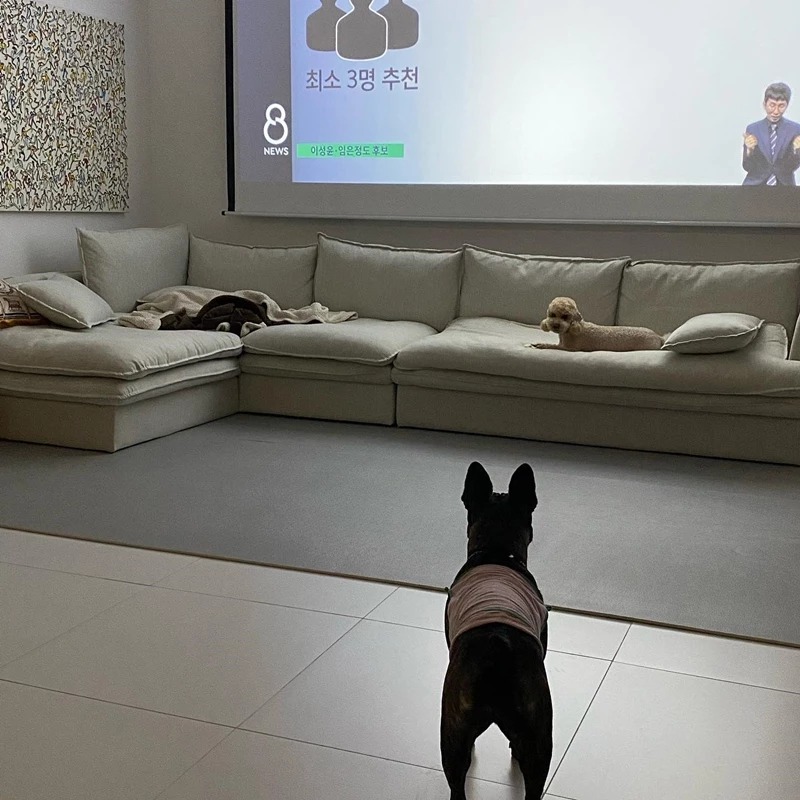 Kang Ki Young - Ảnh 9