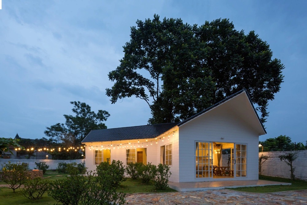 Đỗ Duy Nam - Ảnh 4