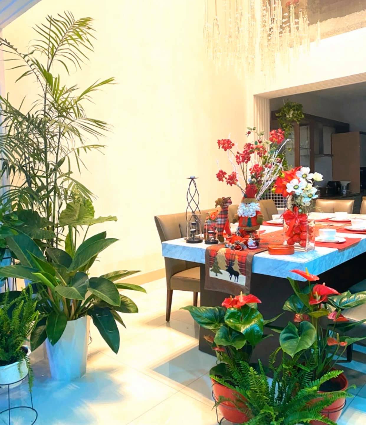 Nhà sao quận 7 - Ảnh 6