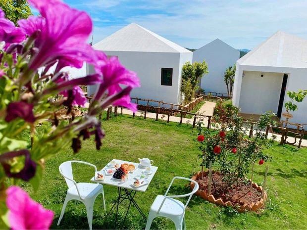 Lý Nhã Kỳ - Ảnh 16