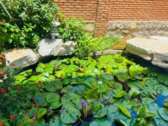 Lý Nhã Kỳ - Ảnh 4