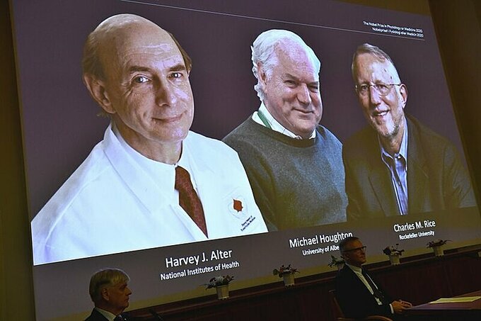 Ảnh ba nhà khoa học được trao giải Nobel Y Sinh, trong buổi lễ công bố giải ngày 5/10 tại Thụy Điển. Ảnh: AP