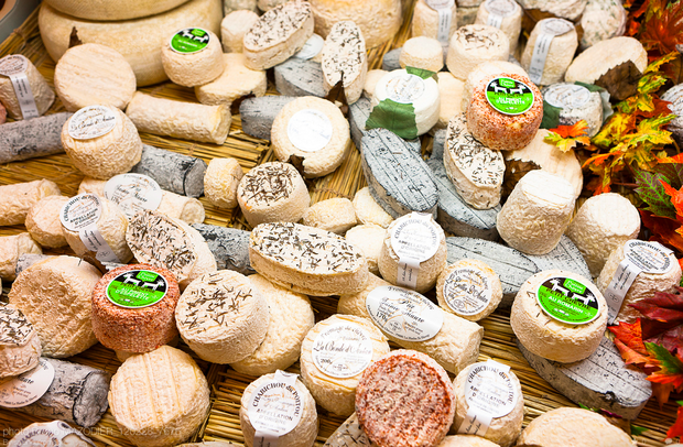 5 loại phô mai "bốc mùi" nhất thế giới, loại 5 từng có giá 570 triệu đồng