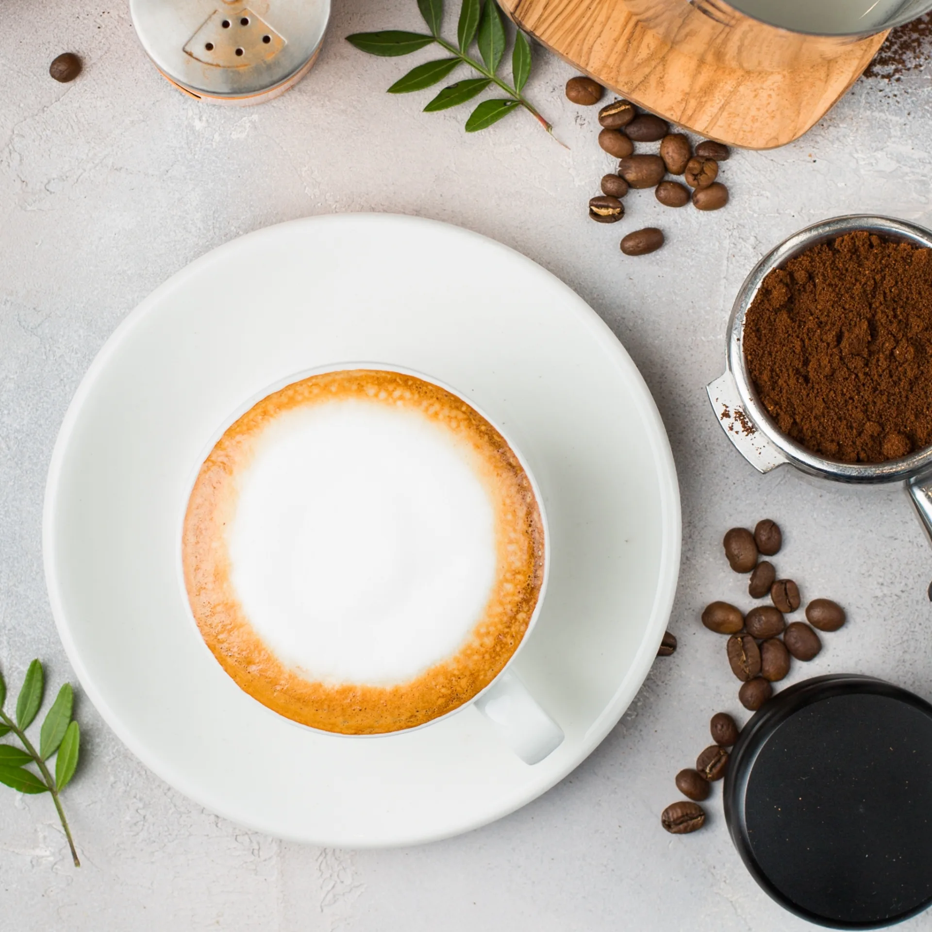 Cappuccino - Ảnh 1