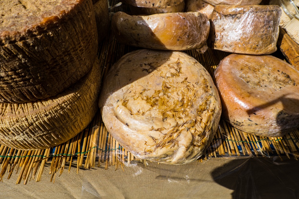 Casu Marzu là một phần của văn hóa ẩm thực Sardinia.