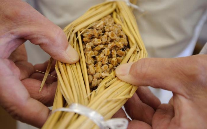 Natto: Món ăn bổ dưỡng nhưng đầy thử thách bởi rất nặng mùi của Nhật Bản - Ảnh 1