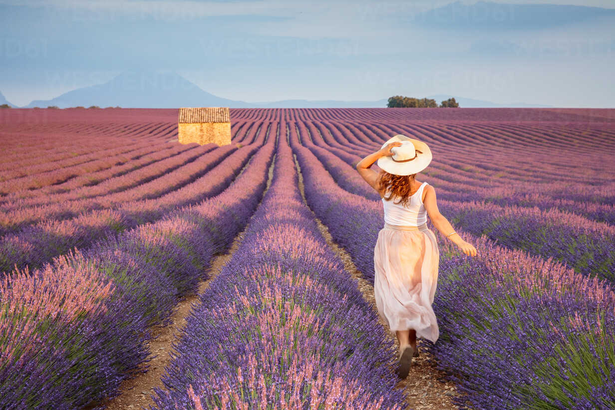 Provence, “tấm bưu thiếp” tuyệt đẹp của miền Nam nước Pháp