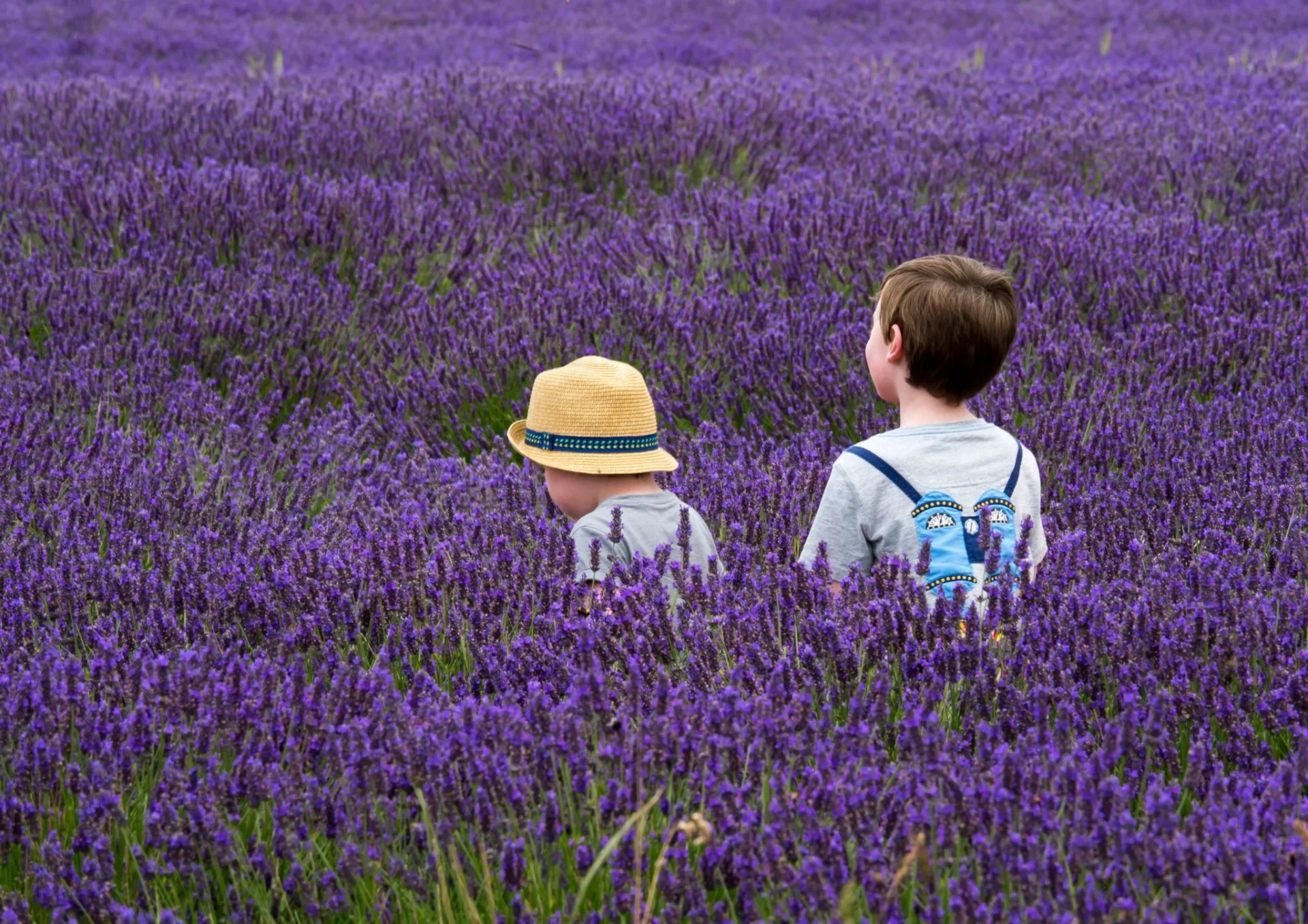 Provence, “tấm bưu thiếp” tuyệt đẹp của miền Nam nước Pháp - Ảnh 2
