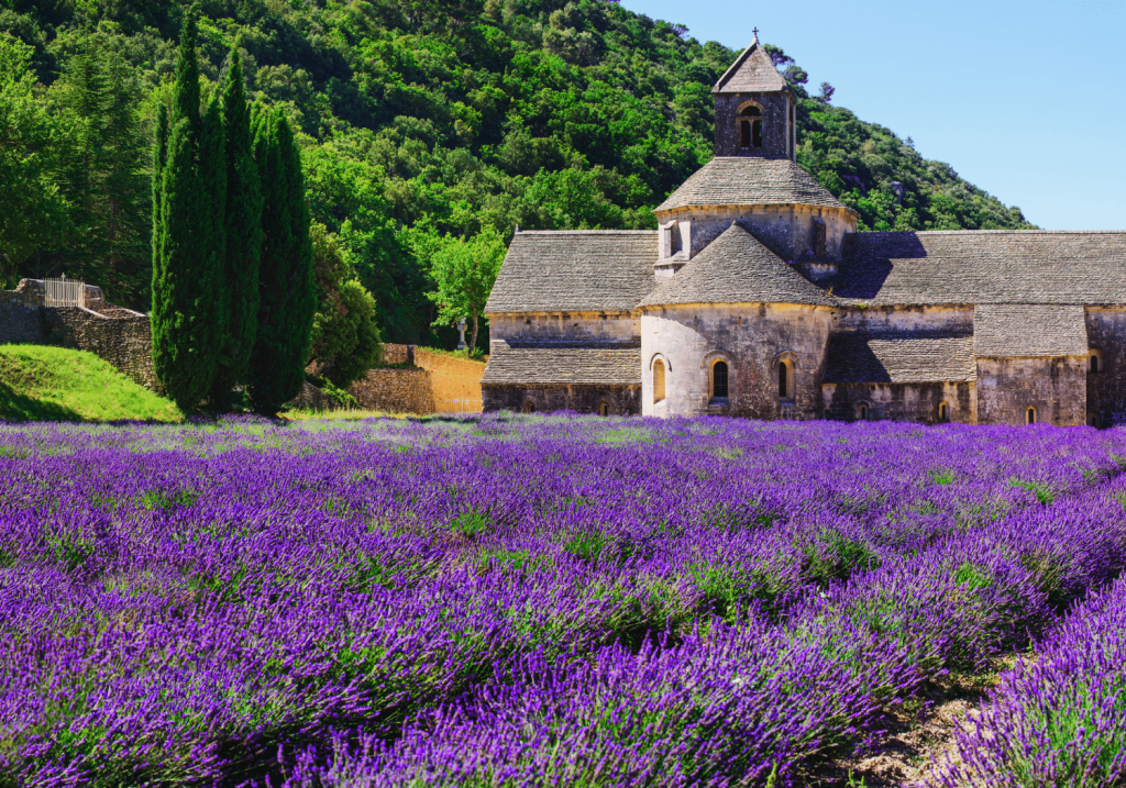 Provence, “tấm bưu thiếp” tuyệt đẹp của miền Nam nước Pháp - Ảnh 2